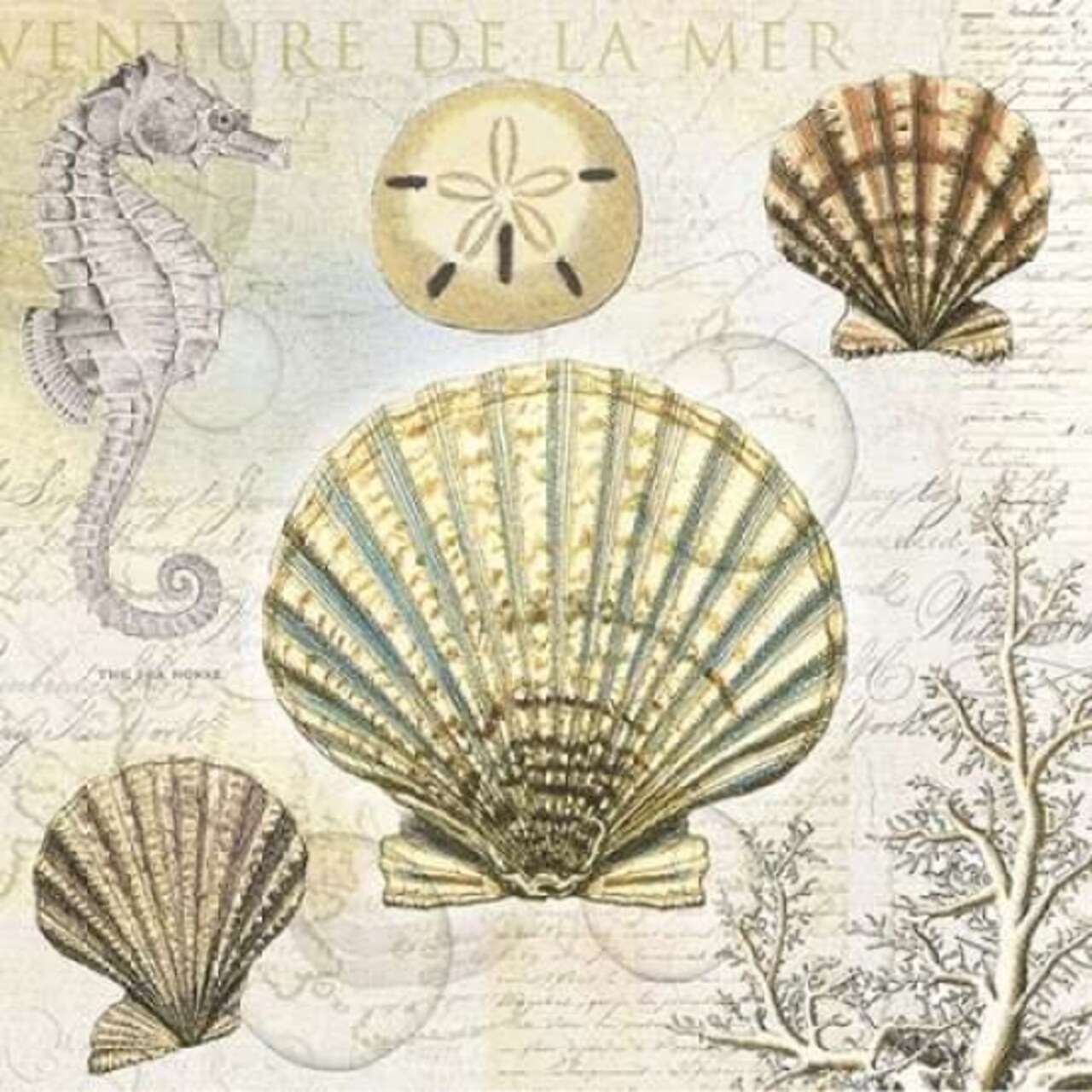 Shell 2 Poster Print by Lula Bijoux and Company Lula Bijoux and Company # QCOSQ003